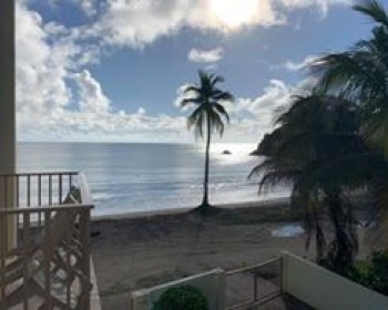 Tropical Inns Family Club- Hotel Lucia Beach